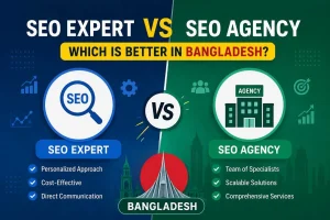 SEO Expert vs SEO Agency